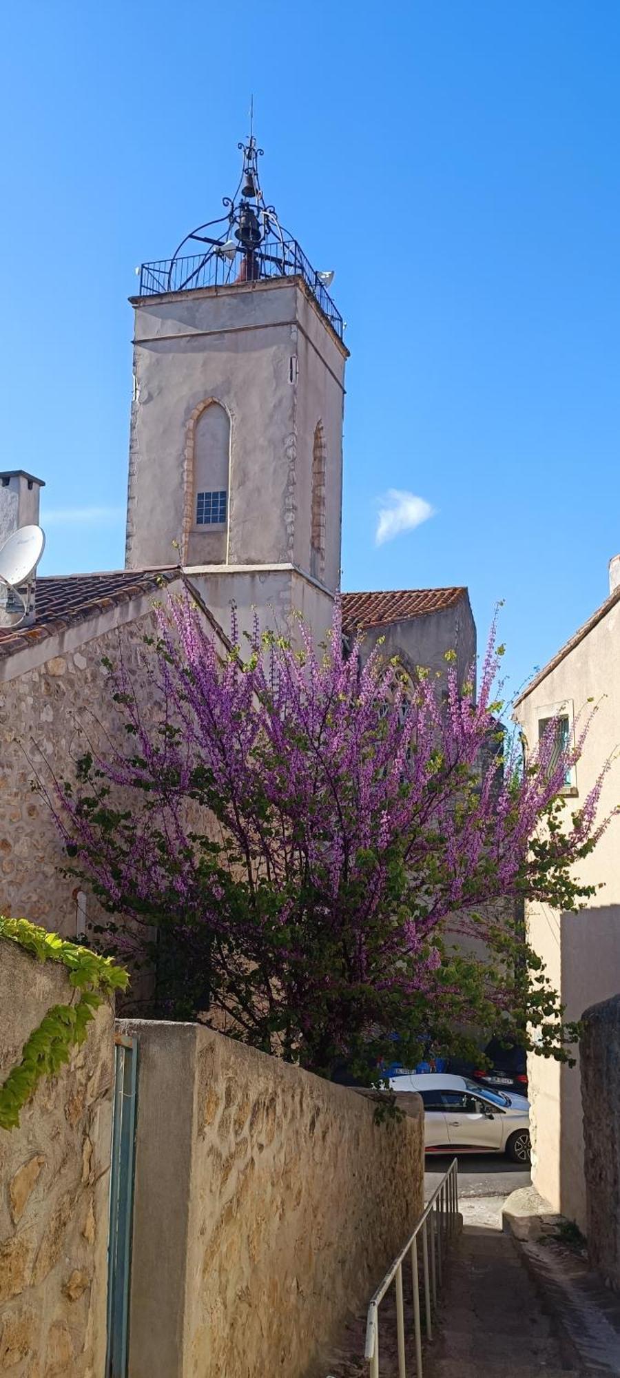 Gite La Capelle Roquefort Des Corbieres Sigean Narbonne Aude Exterior foto